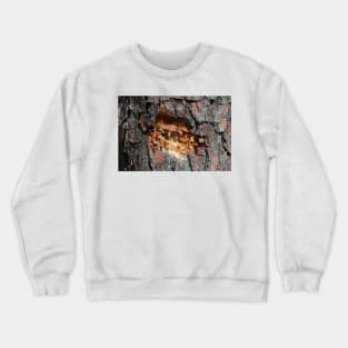 Pine Tree Sap Crewneck Sweatshirt